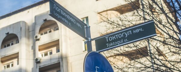 Установленные активистами дорожные указатели на пересечении улиц Токтогула и Логвиненко Установленные активистами дорожные указатели на пересечении улиц Токтогула и Логвиненко - Sputnik Кыргызстан