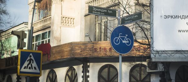 Установленные активистами дорожные указатели на пересечении улиц Эркиндик и Токтогула - Sputnik Кыргызстан