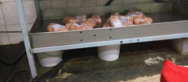 Курттаган эт, сасыган жер — Бишкектеги тез татым жайларында тамактар кантип жасалат - Sputnik Кыргызстан