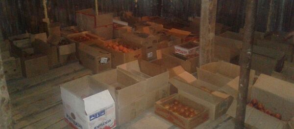 Постройка логистического центра в Базар-Коргоне - Sputnik Кыргызстан