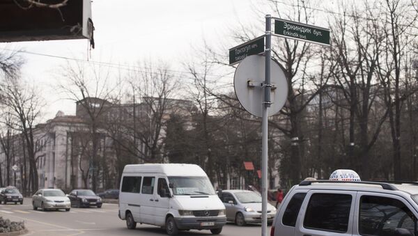 Установка дорожных указателей активистом в Бишкеке - Sputnik Кыргызстан