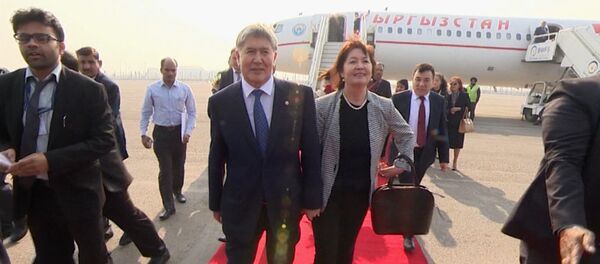 Алмазбек Атамбаевди Делинин аэропортунан индиялык жоон топ атка минерлер тосуп алды - Sputnik Кыргызстан
