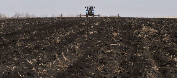 Подготовка к севу на полях в Воронежской области - Sputnik Кыргызстан