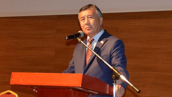 Посол Кыргызстана в Турции Ибрагим Жунусов - Sputnik Кыргызстан