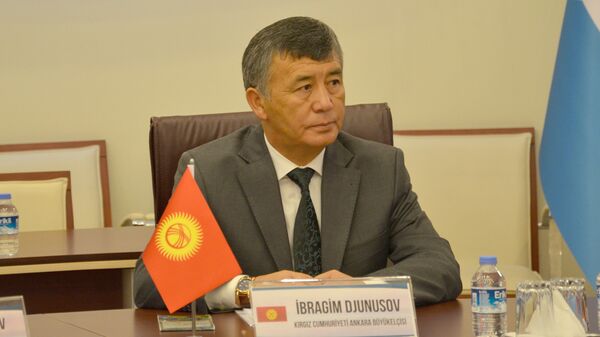 Посол Кыргызстана в Турции Ибрагим Жунусов - Sputnik Кыргызстан