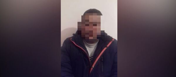 Адамды өлтүрө сүзүүгө шектелген жаран: жабыркоочу ооруканага баруудан баш тарткан - Sputnik Кыргызстан