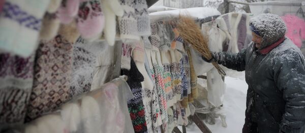 Придорожная торговля в Рязанской области - Sputnik Кыргызстан