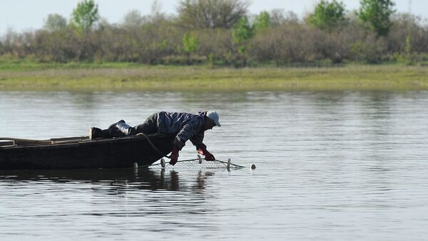 Лов рыбы в Астраханской области - Sputnik Кыргызстан