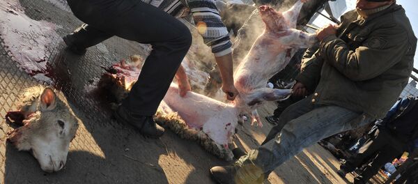 Празднование Курбан-байрама в городе Реутов в Подмосковье - Sputnik Кыргызстан