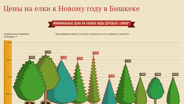 Цены на елки к Новому году в Бишкеке - Sputnik Кыргызстан