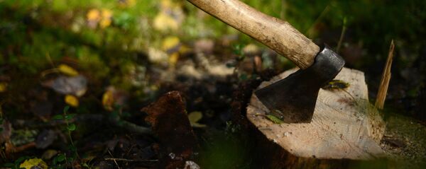 Балта. Архив - Sputnik Кыргызстан