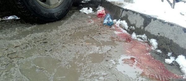 Москва менен Ибраимов көчөлөрү кесилишде айдоочу жөө адамга ок чыгарган жер Москва менен Ибраимов көчөлөрү кесилишде айдоочу жөө адамга ок чыгарган жер - Sputnik Кыргызстан