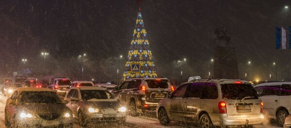 Сильный снегопад в Бишкеке Сильный снегопад в Бишкеке - Sputnik Кыргызстан