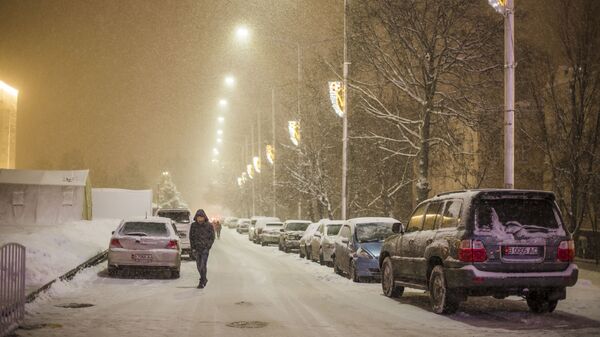 Сильный снегопад в Бишкеке - Sputnik Кыргызстан