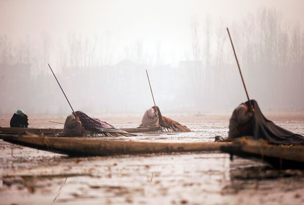 Рыбаки на озере Анчар в Кашмире - Sputnik Кыргызстан