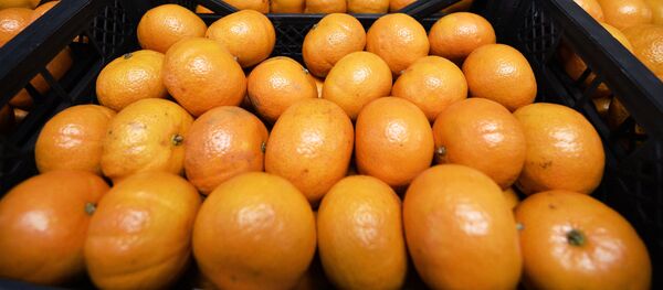 Мандарины. Архивное фото - Sputnik Кыргызстан