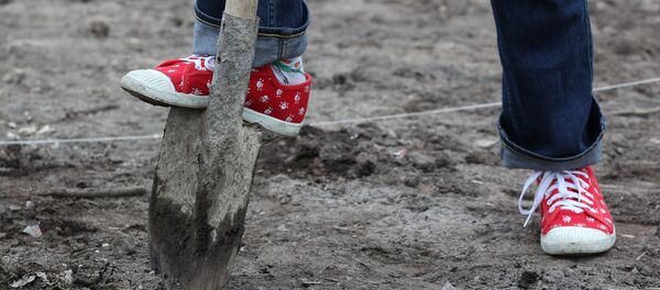 Подросток копает землю. Архивное фото - Sputnik Кыргызстан