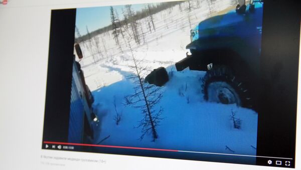 Снимок с видеохостинга Youtube пользователя Якутск Онлайн. Видео, где медведя давят двумя грузовиками - Sputnik Кыргызстан