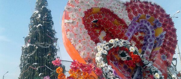 Новогодние елки в регионах Кыргызстана — Джалал-Абад - Sputnik Кыргызстан