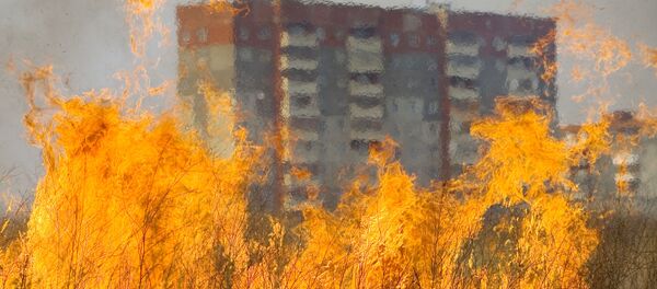 Поджог травы на городских пустырях - Sputnik Кыргызстан