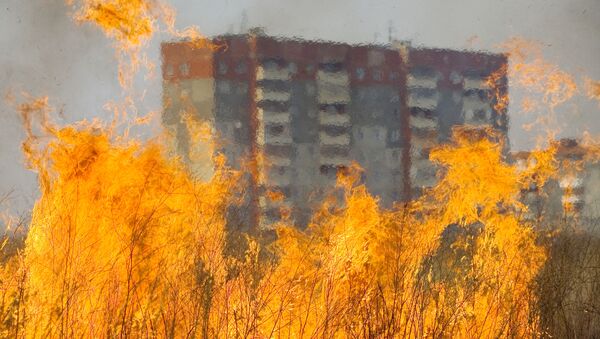 Поджог травы на городских пустырях - Sputnik Кыргызстан