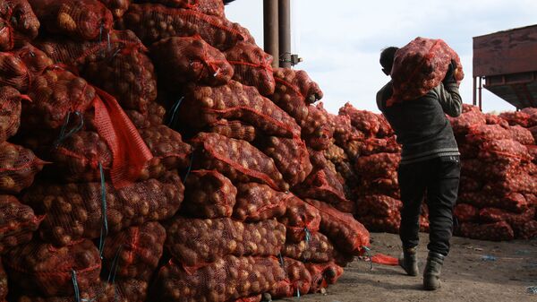 Уборка картофеля в Новосибирской области - Sputnik Кыргызстан