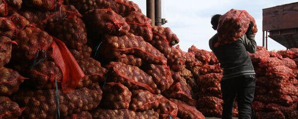 Капка салынган картошка. Архив - Sputnik Кыргызстан