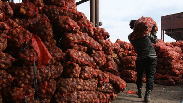 Уборка картофеля в Новосибирской области - Sputnik Кыргызстан