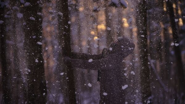 Снегопад - Sputnik Кыргызстан