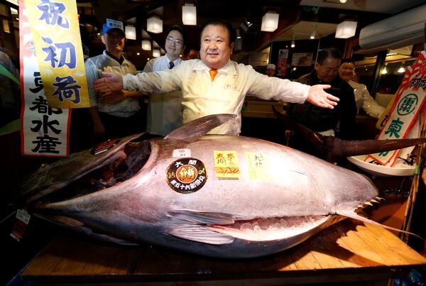 Новогодний рыбный аукцион в Токио - Sputnik Кыргызстан
