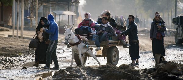 Мосул шаарынан кетип жаткан качындар. Архив - Sputnik Кыргызстан
