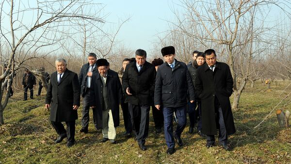 Премьер-министр Сооронбай Жээнбеков во время осмотра плодопитомника, который расположен в селе Арпасай Кадамжайского района - Sputnik Кыргызстан