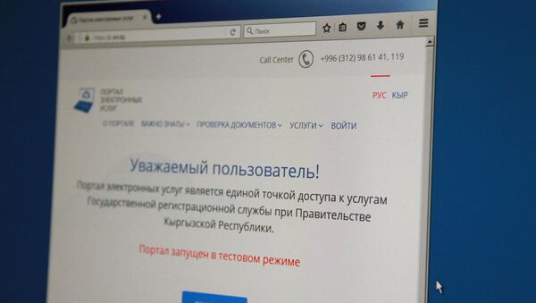 Снимок официального портала электронных услуг Государственной регистрационной службы (ГРС) КР - Sputnik Кыргызстан