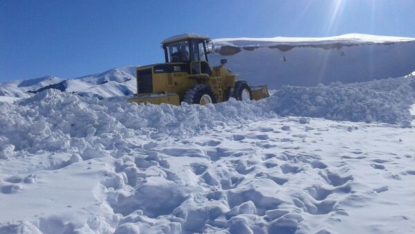 Последствия сильного снегопада в долинах Ак-Сай и Арпа Нарынской области - Sputnik Кыргызстан