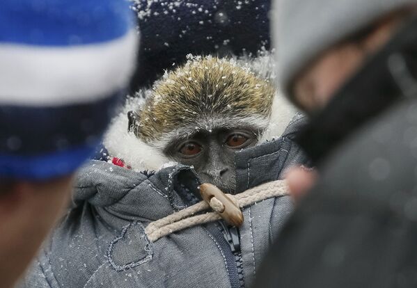 Мороз в Киеве - Sputnik Кыргызстан
