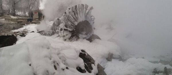 Обломки двигателя самолета Boeing-747 потерпевшего крушение недалеко от аэропорта Манас - Sputnik Кыргызстан
