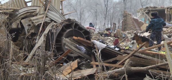 Биринчи вице-премьер: авиакырсык учкучтардын күнөөсүнөн болду деген ой бар - Sputnik Кыргызстан