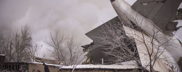 На месте авиакрушения самолета Boeing-747 в селе Дача Су. Архивное фото - Sputnik Кыргызстан