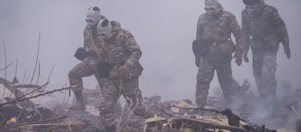 Дача СУ айылындагы учак кырсыгы. Архив - Sputnik Кыргызстан