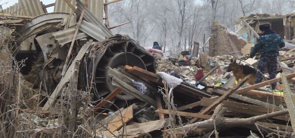 Есть мнение, что вина лежит на пилотах, — первый вице-премьер - Sputnik Кыргызстан