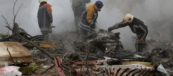 Сотрудники МЧС на месте авиакрушения самолета Boeing-747 в селе Дача-Суу недалеко от аэропорта Манас - Sputnik Кыргызстан