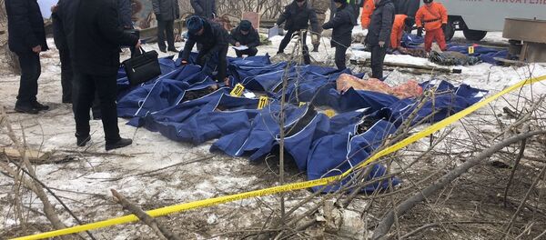 Тела погибших при крушении самолета Boeing-747 недалеко от аэропорта Манас - Sputnik Кыргызстан