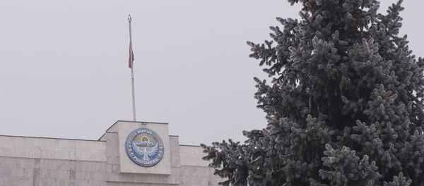 Приспущенный флаг Кыргызстана на здании Белого дома в день траура по погибшим в авиакатастрофе недалеко от аэропорта Манас - Sputnik Кыргызстан