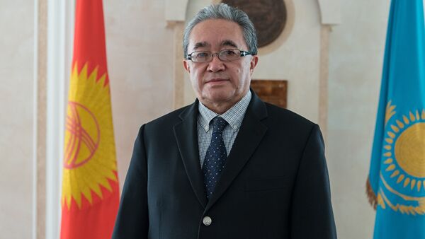 Временный поверенный в делах посольства Кыргызстана в Казахстане Кайнарбек Токтомушев - Sputnik Кыргызстан