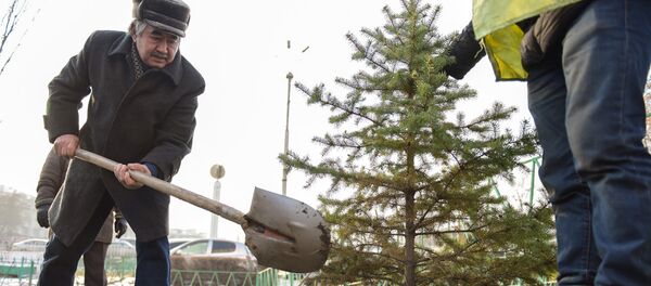 Акция Елочка живи в Бишкеке - Sputnik Кыргызстан