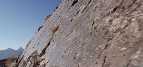 Жоголгон мал жандыкты көрсөтүп турган Баткендеги күзгү таш - Sputnik Кыргызстан