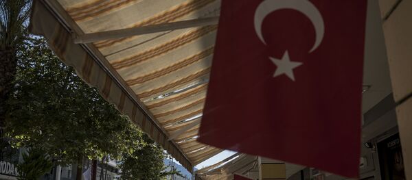 Флаг Турции. Архивное фото - Sputnik Кыргызстан