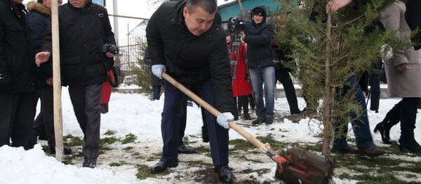 Работа по озеленению города Ош Работа по озеленению города Ош - Sputnik Кыргызстан