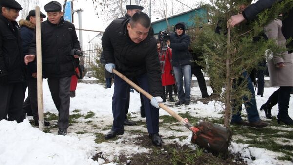 Работа по озеленению города Ош - Sputnik Кыргызстан