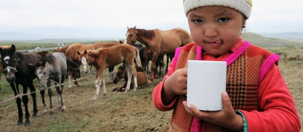 Горное пастбище в Суусамырской долине - Sputnik Кыргызстан